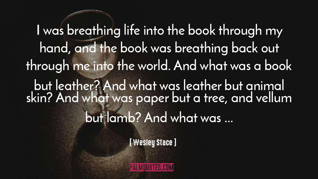 Breathing Life quotes by Wesley Stace