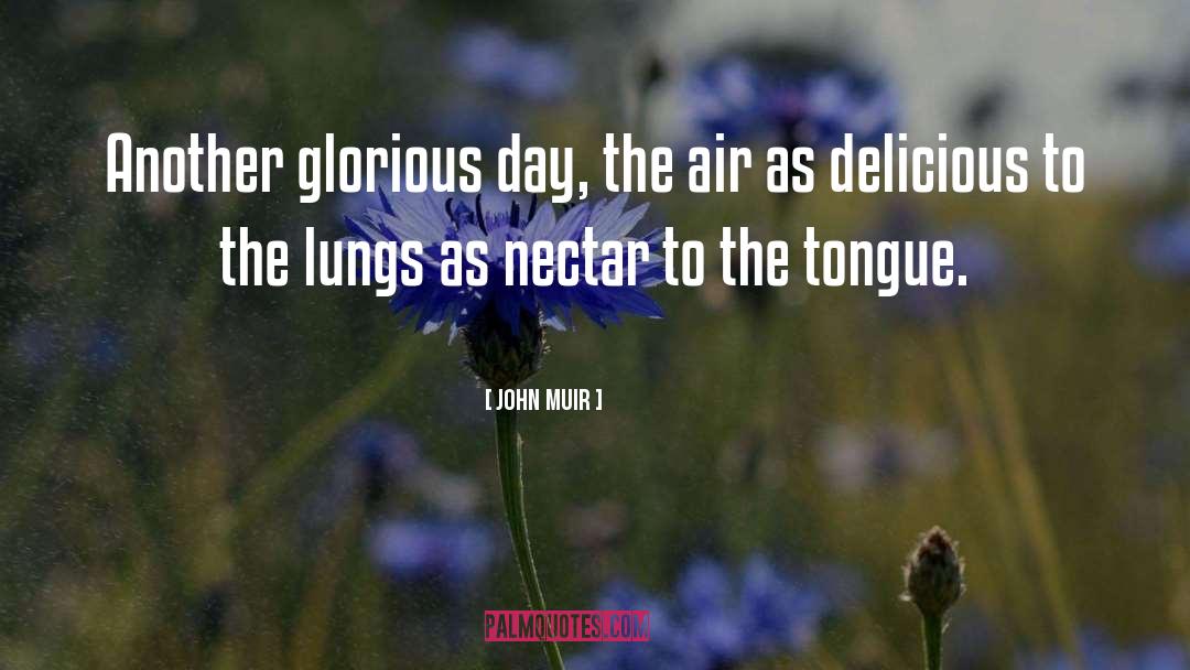 Breathing Lungs quotes by John Muir
