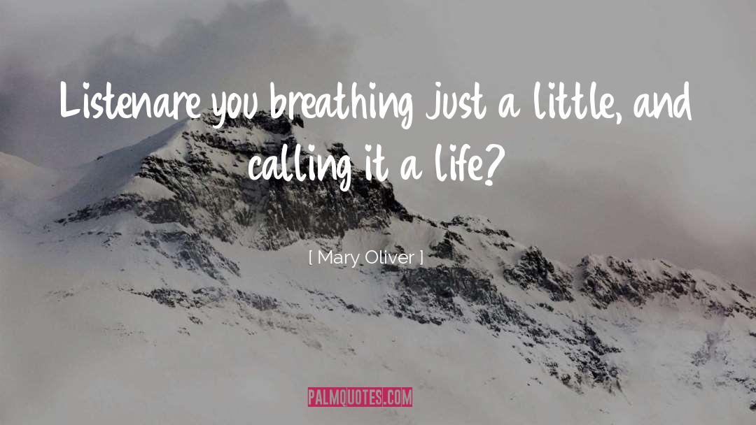 Breathing quotes by Mary Oliver