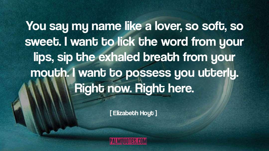 Breaths quotes by Elizabeth Hoyt