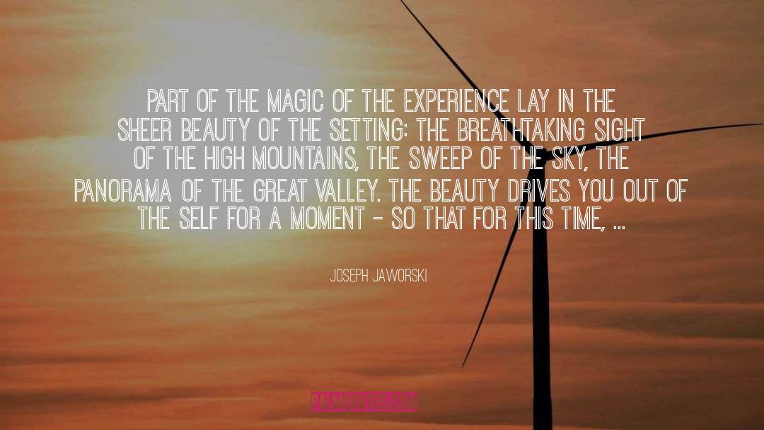 Breathtaking quotes by Joseph Jaworski