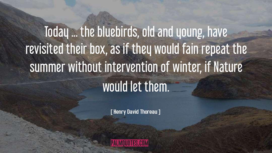 Breccan Bluebird quotes by Henry David Thoreau