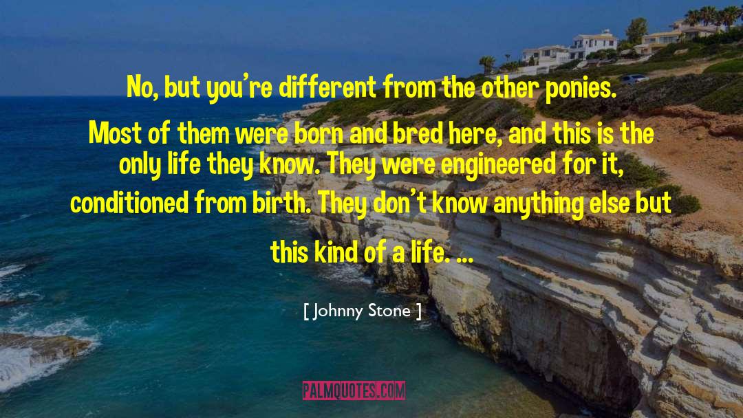 Bred quotes by Johnny Stone