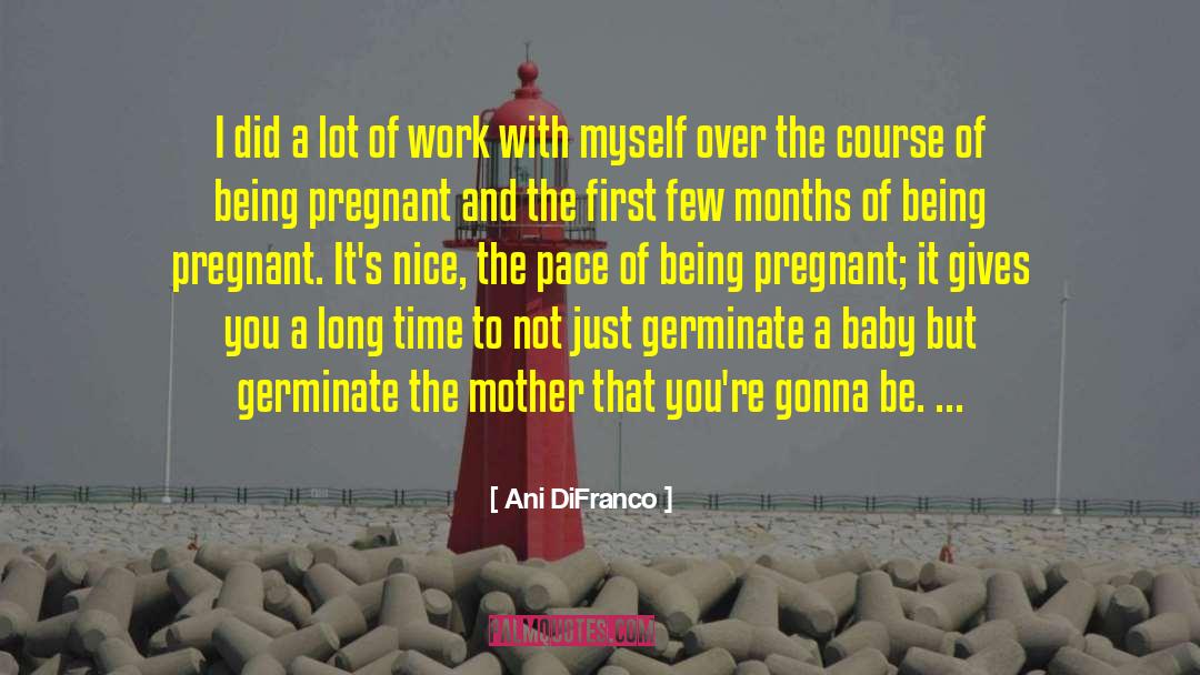 Breeched Pregnant quotes by Ani DiFranco