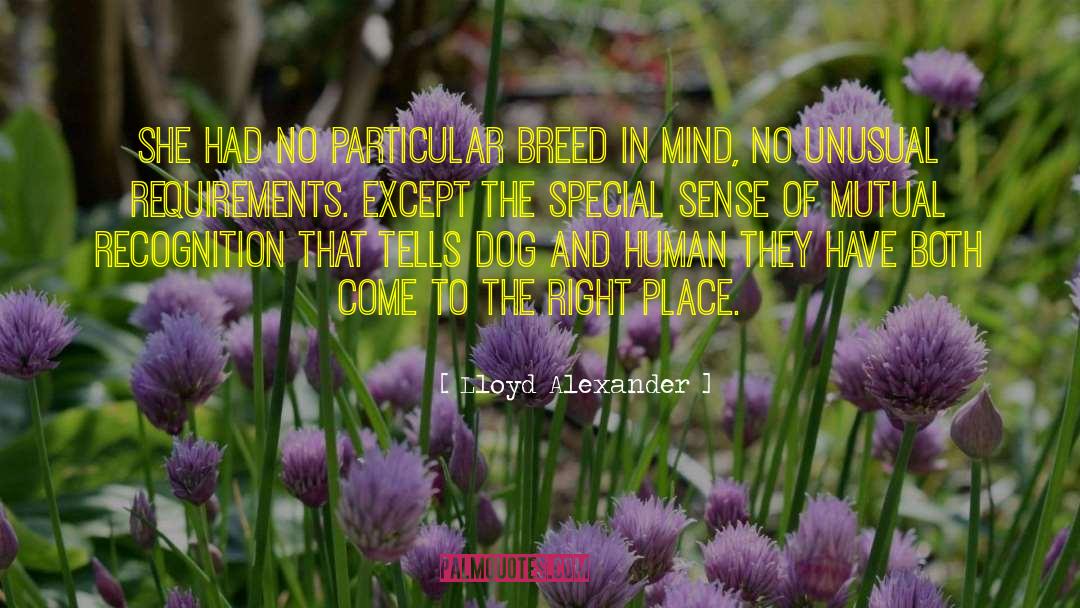 Breed quotes by Lloyd Alexander