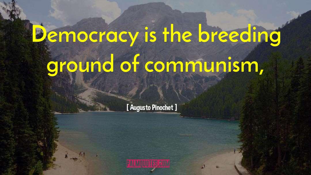 Breeding quotes by Augusto Pinochet