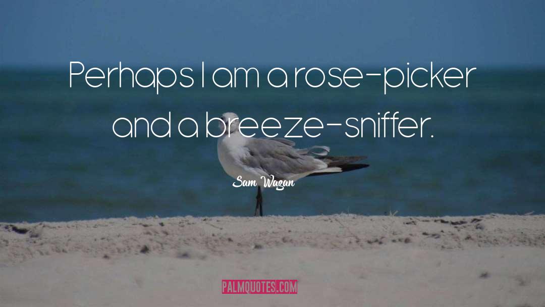 Breeze quotes by Sam Wazan