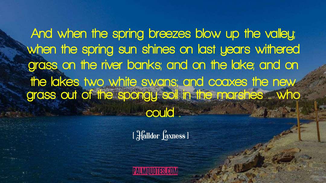 Breezes quotes by Halldor Laxness