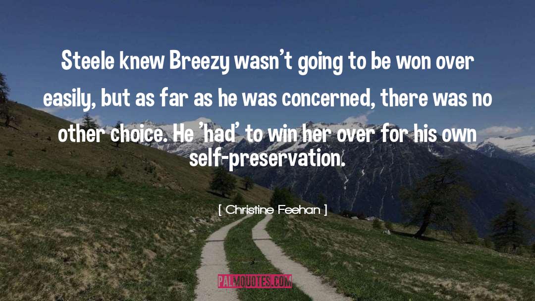 Breezy quotes by Christine Feehan