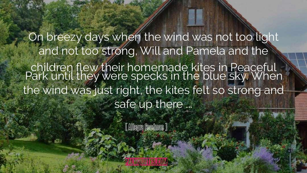 Breezy quotes by Allegra Goodman