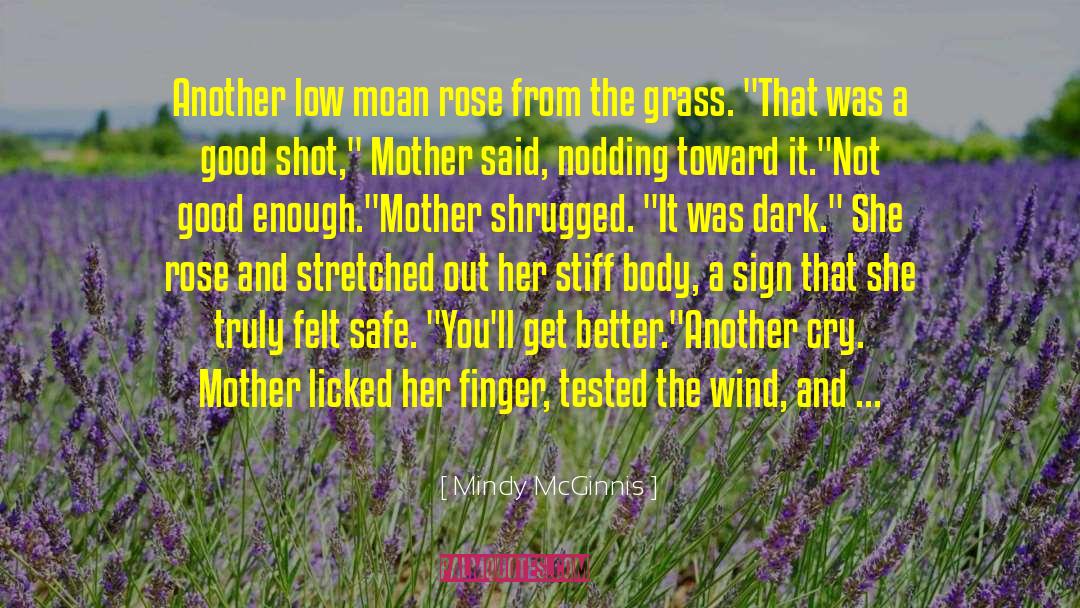 Brenda Sutton Rose quotes by Mindy McGinnis