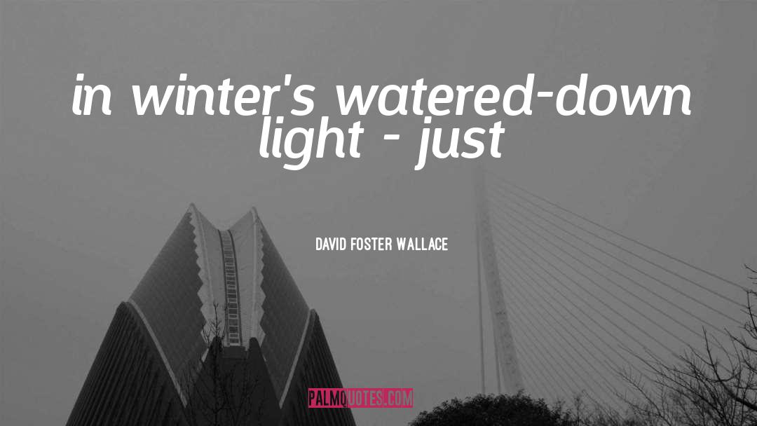 Brenda Winters quotes by David Foster Wallace