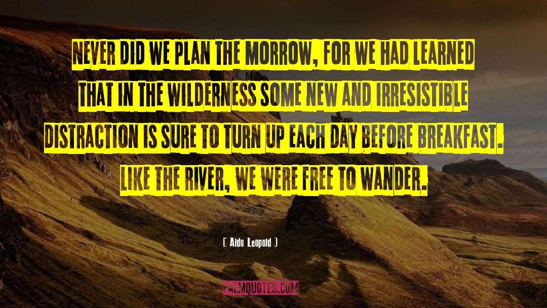 Brene Brown Braving The Wilderness quotes by Aldo Leopold