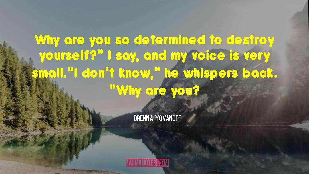 Brenna Yovanoff quotes by Brenna Yovanoff