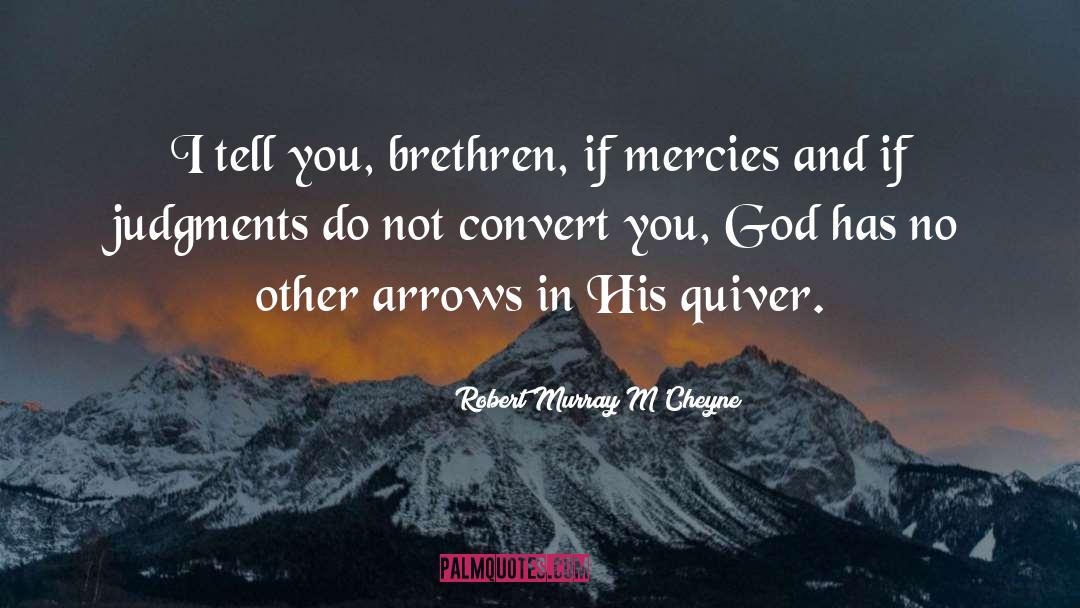 Brethren quotes by Robert Murray M'Cheyne