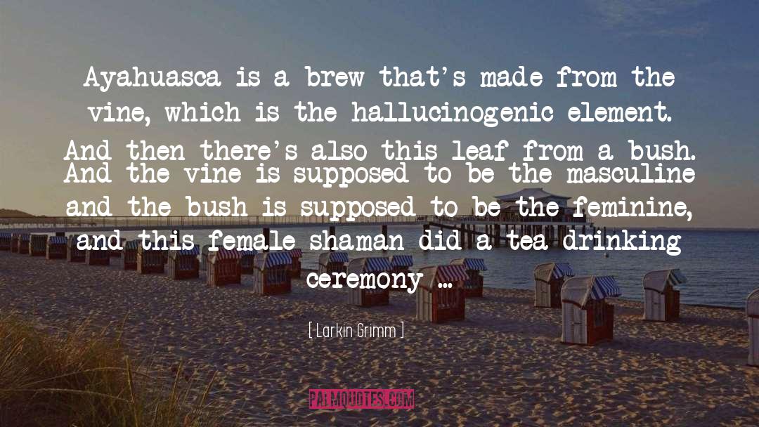 Brew quotes by Larkin Grimm