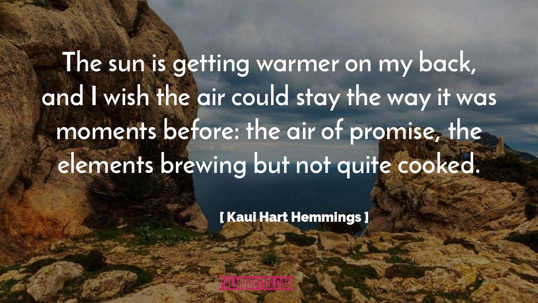 Brewing quotes by Kaui Hart Hemmings