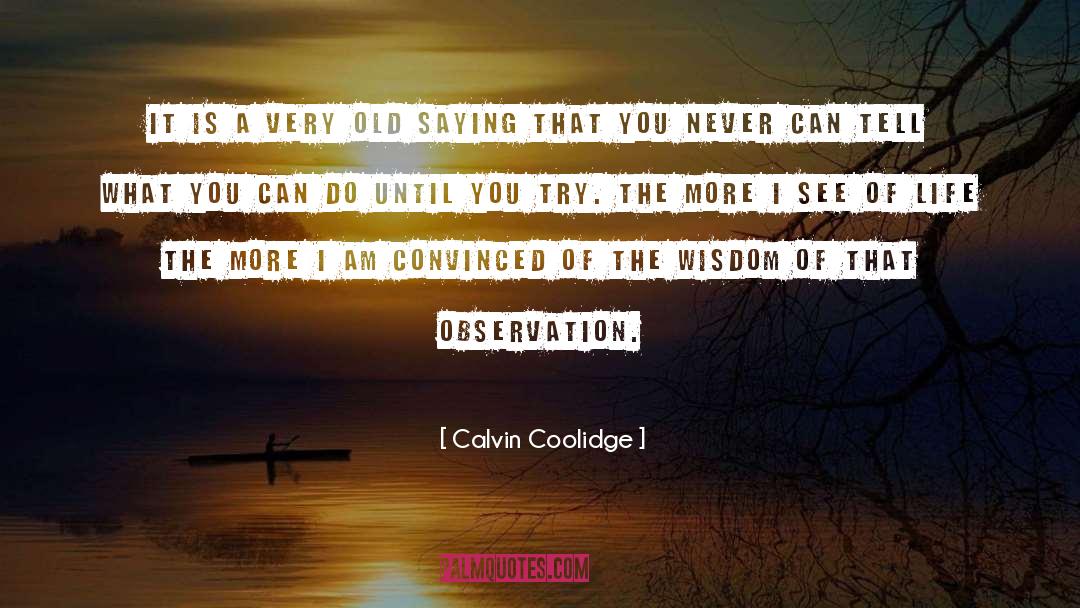 Bria Coolidge quotes by Calvin Coolidge