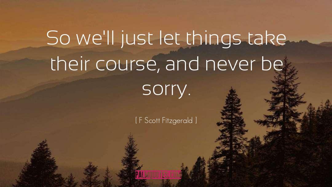 Brian Fitzgerald quotes by F Scott Fitzgerald