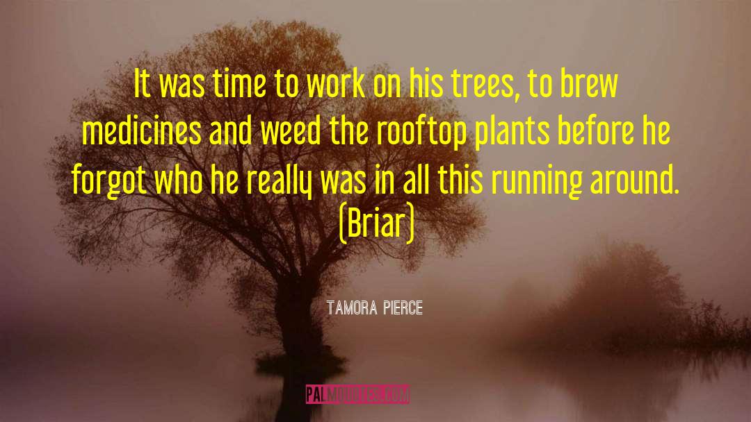 Briar quotes by Tamora Pierce