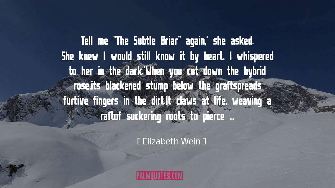 Briar quotes by Elizabeth Wein