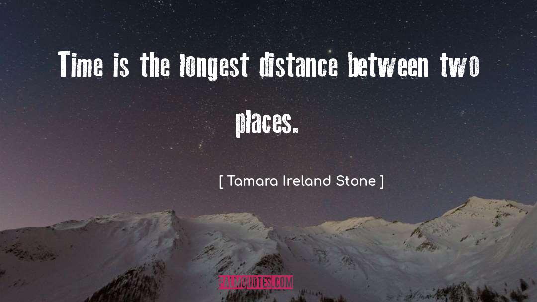 Brichacek Stone quotes by Tamara Ireland Stone