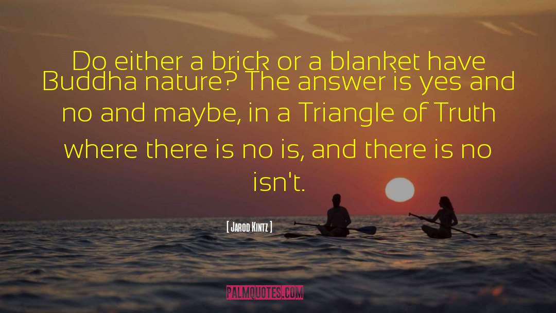 Brick And Blanket Iq Test quotes by Jarod Kintz