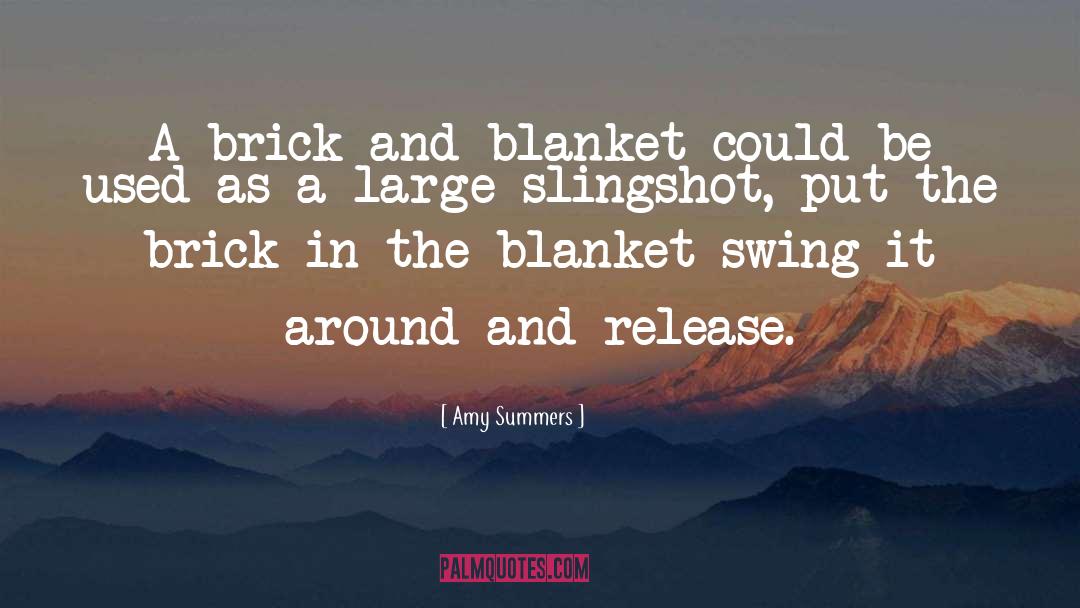 Brick And Blanket Test quotes by Amy Summers