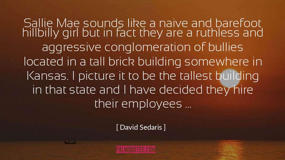 Brick quotes by David Sedaris