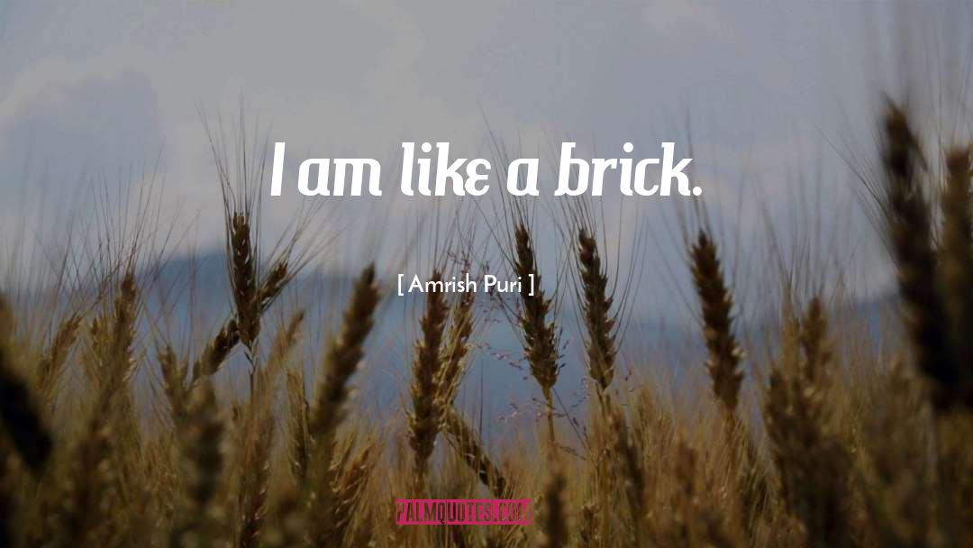 Brick quotes by Amrish Puri