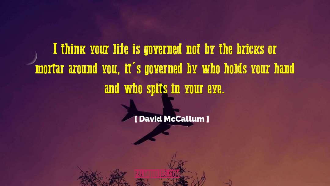 Bricks And Mortar quotes by David McCallum