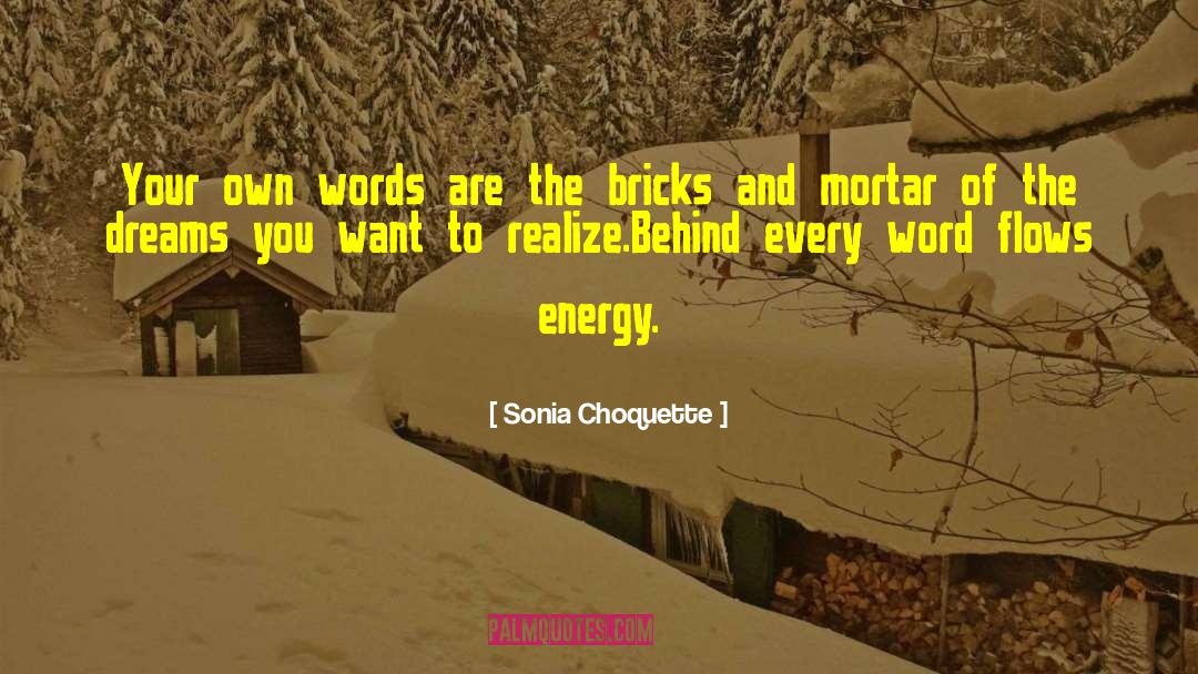 Bricks quotes by Sonia Choquette