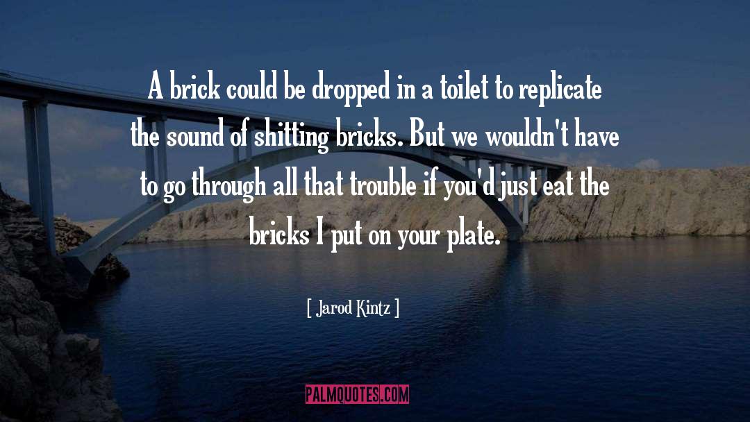 Bricks quotes by Jarod Kintz