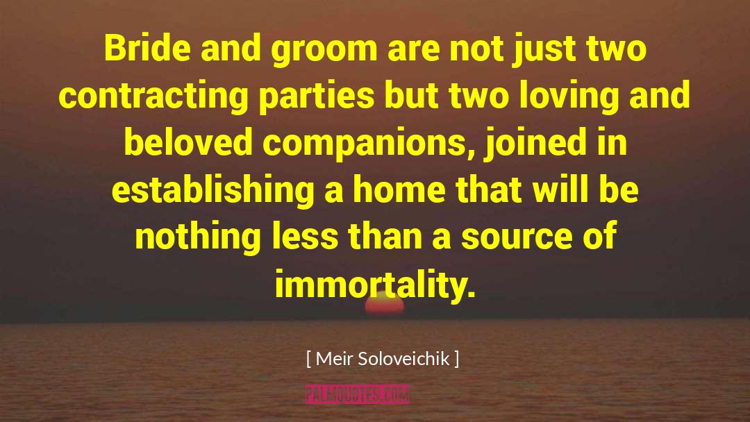 Bride And Groom quotes by Meir Soloveichik