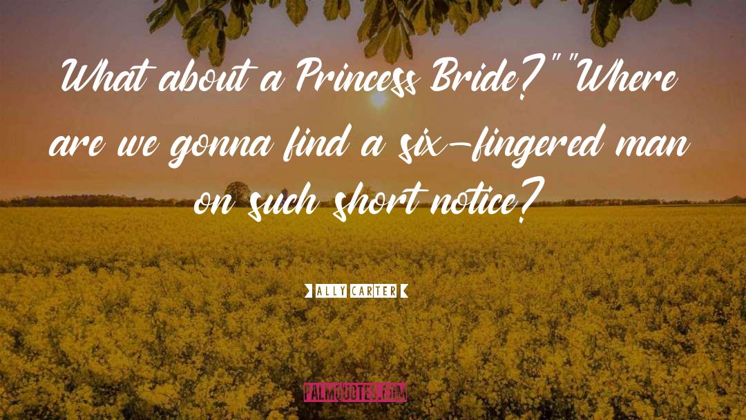 Bride quotes by Ally Carter