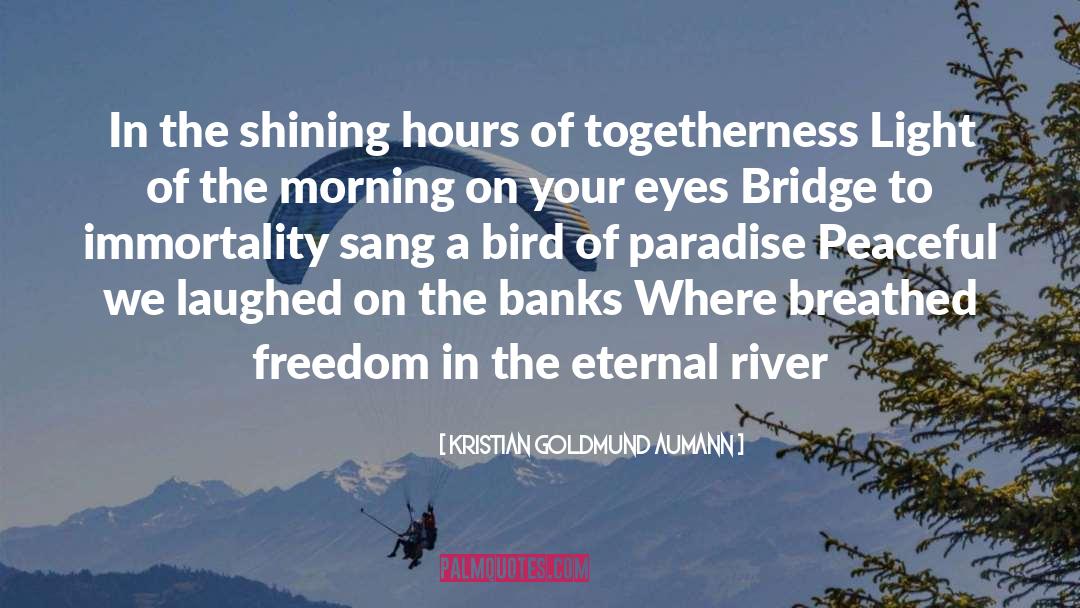 Bridge On River Kwai quotes by Kristian Goldmund Aumann