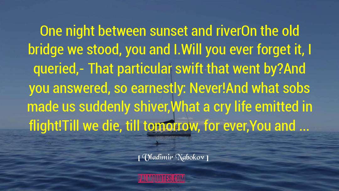 Bridge Over The River Kwai Movie quotes by Vladimir Nabokov