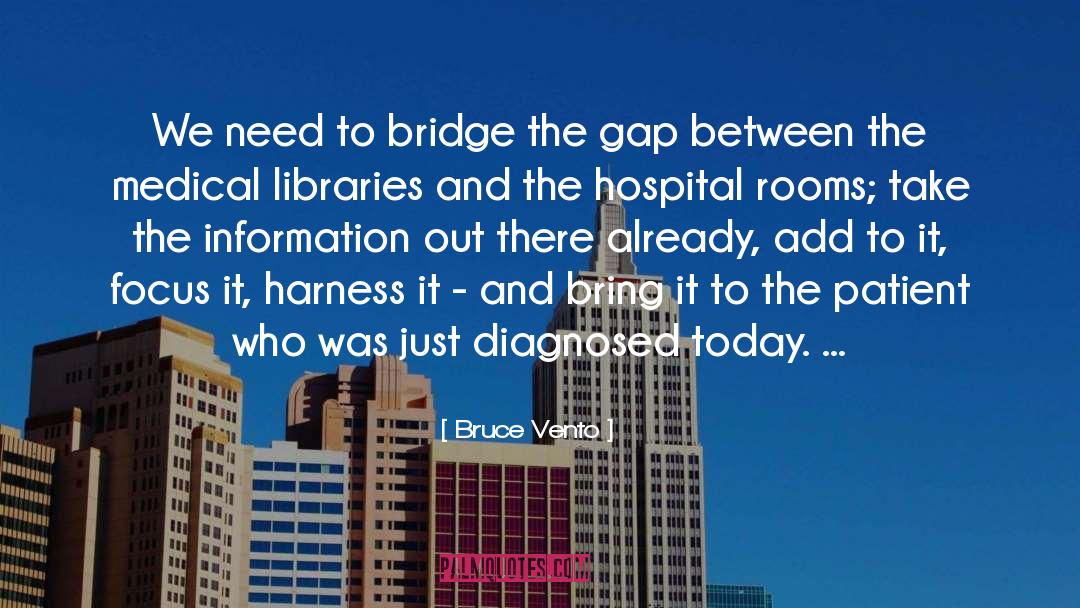 Bridge The Gap quotes by Bruce Vento