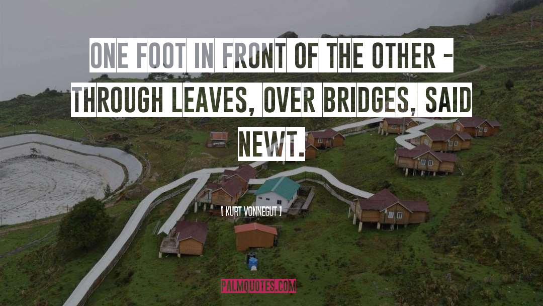 Bridges quotes by Kurt Vonnegut