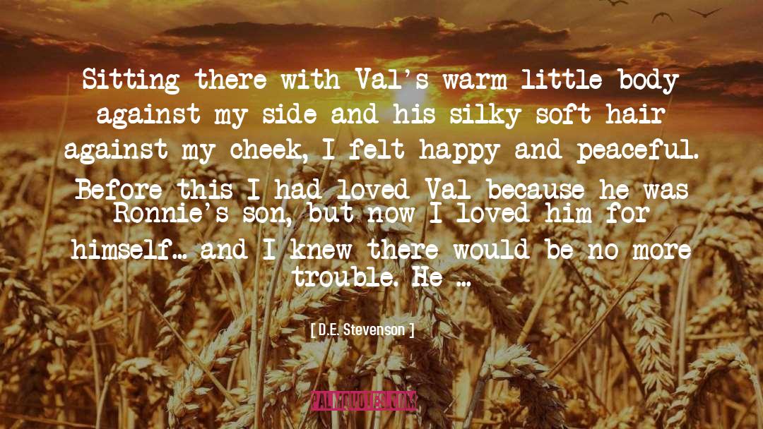 Bridget And Val quotes by D.E. Stevenson
