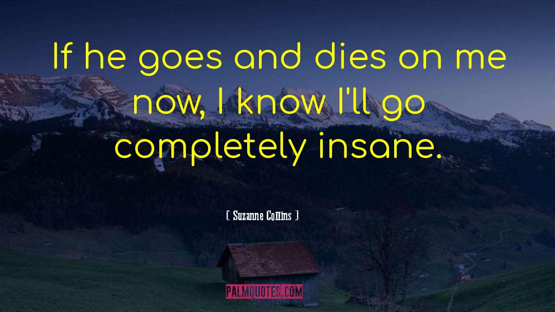 Bridget Collins quotes by Suzanne Collins