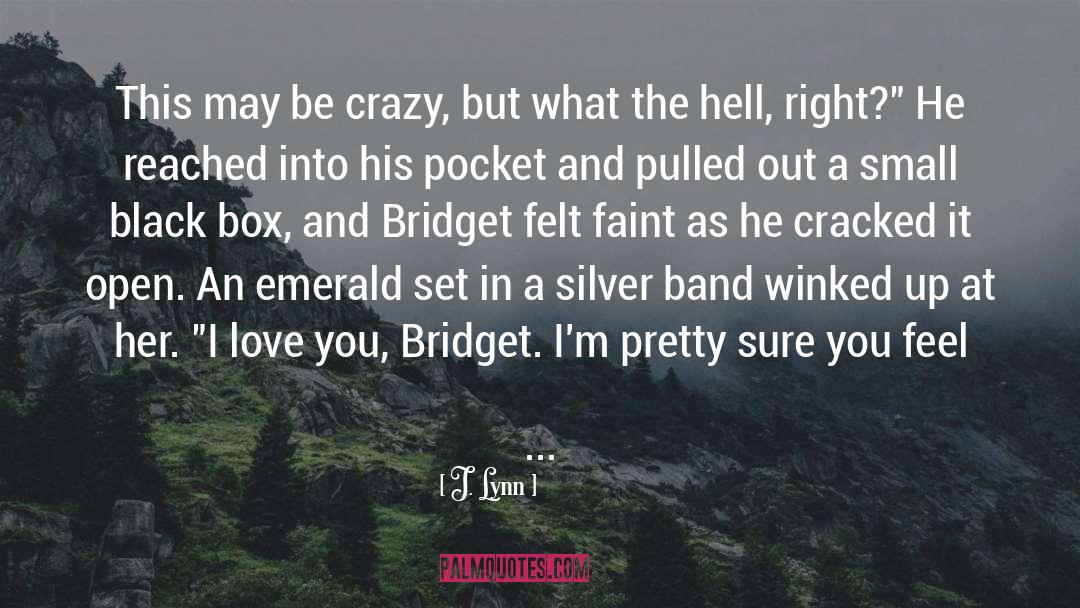 Bridget quotes by J. Lynn