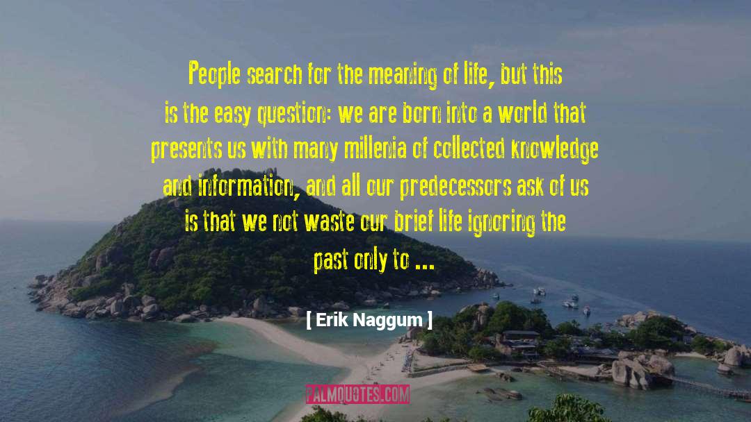 Brief Life quotes by Erik Naggum
