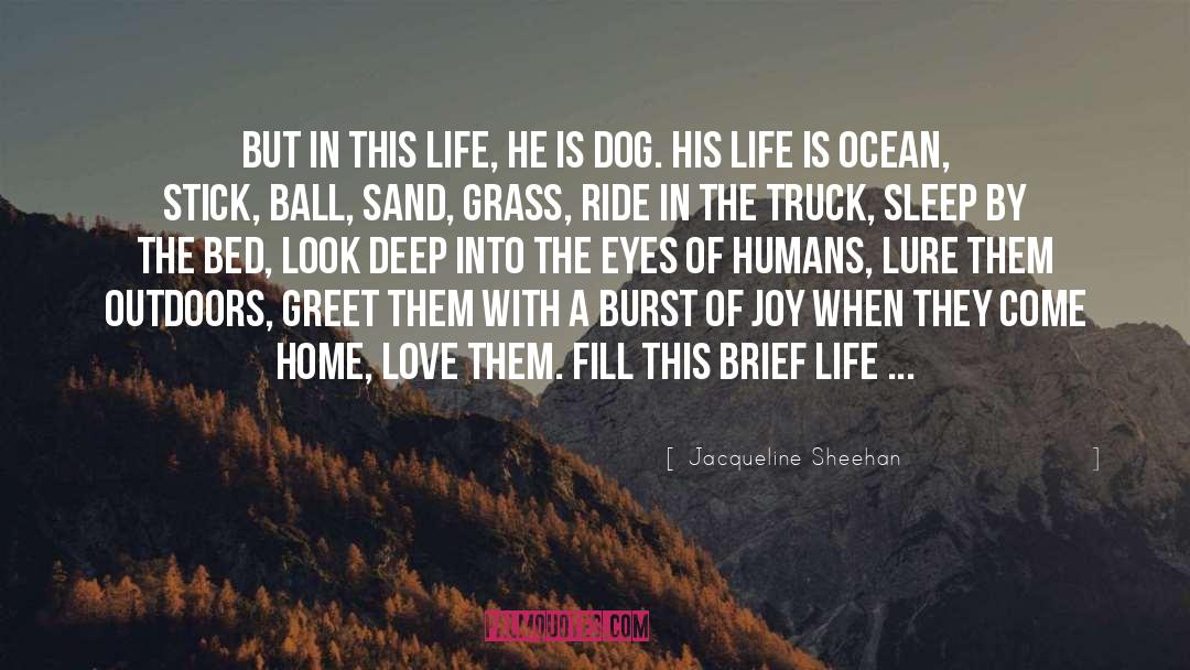 Brief Life quotes by Jacqueline Sheehan