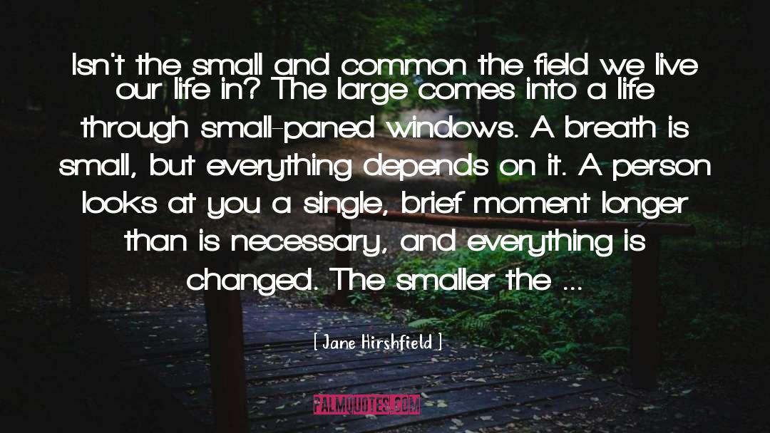 Brief Moments quotes by Jane Hirshfield
