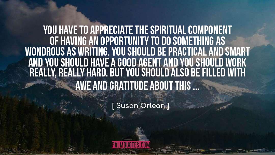 Brief Writing quotes by Susan Orlean
