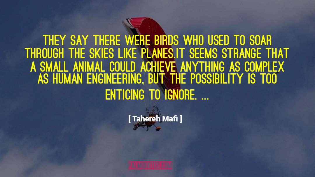 Briem Engineering quotes by Tahereh Mafi