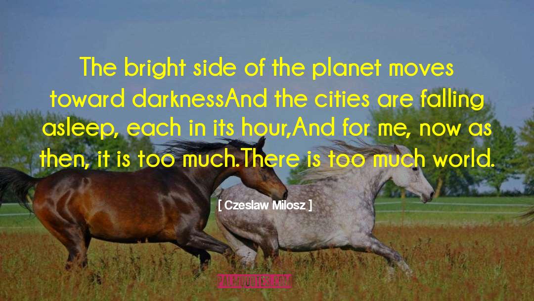 Bright Side quotes by Czeslaw Milosz