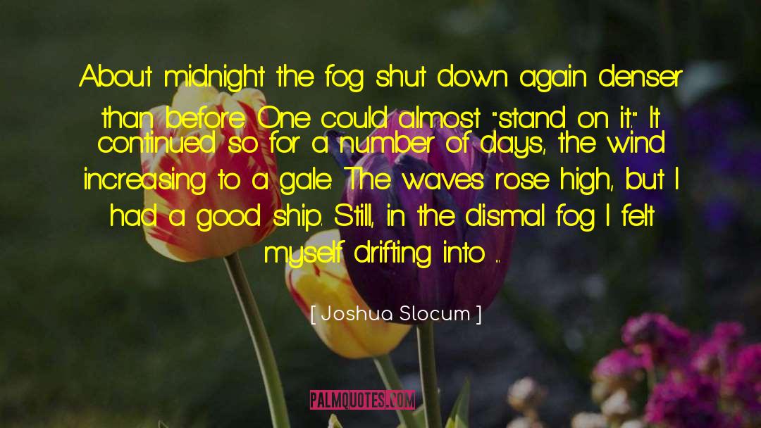 Brighter Days quotes by Joshua Slocum