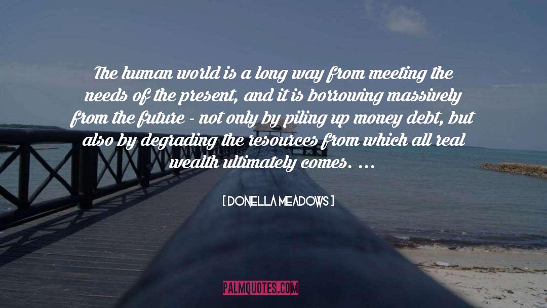 Brighter Future quotes by Donella Meadows
